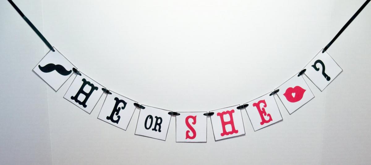 he-or-she-banner-gender-reveal-garland-boy-or-girl-baby-banner-baby